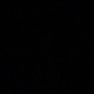 Meet your Posher, Tyra